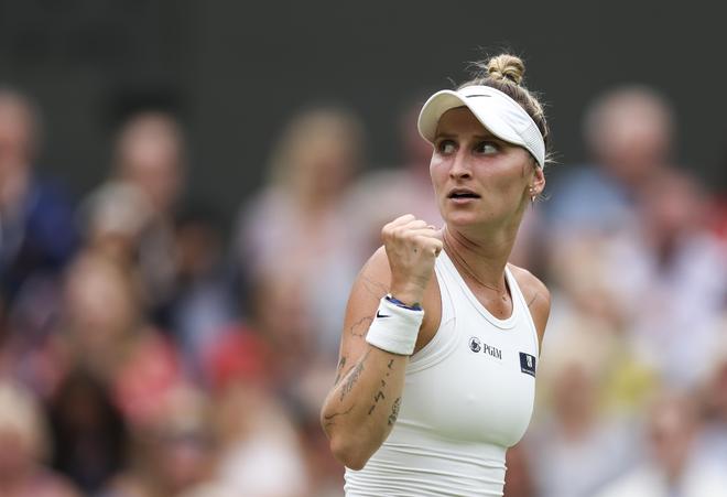 了如何在密 了如何在密