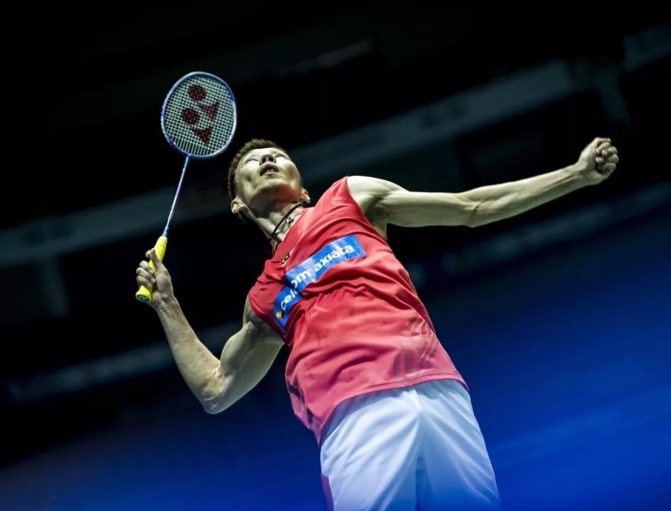 资金支持 资金支持